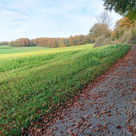 Haus Im Grunen Villa Billerbeck Buitenkant foto