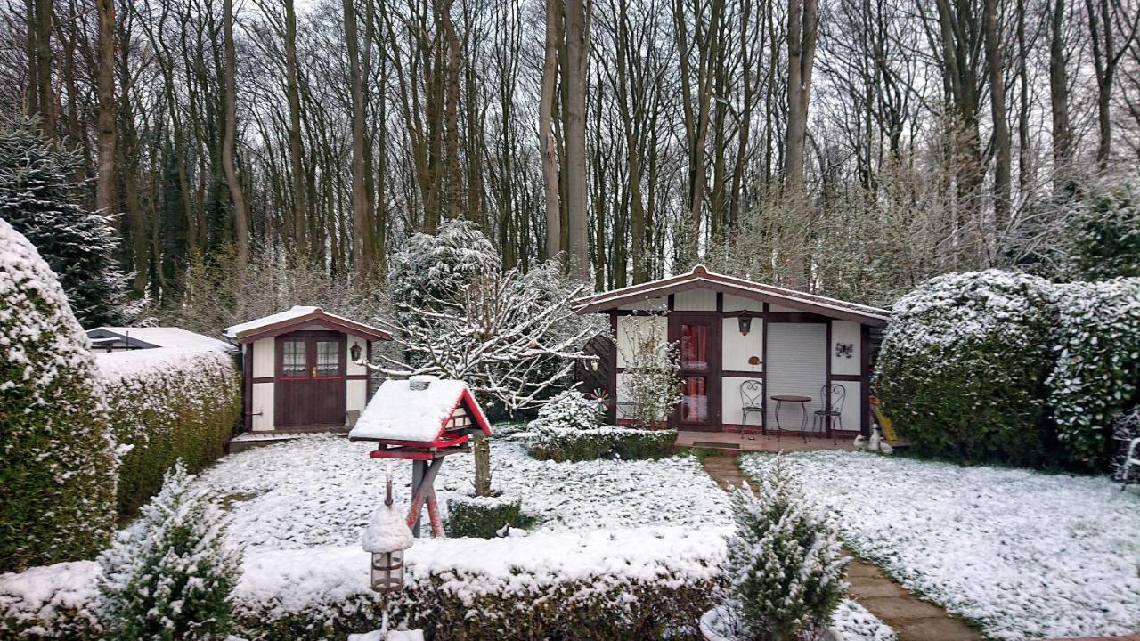 Haus Im Grunen Villa Billerbeck Buitenkant foto